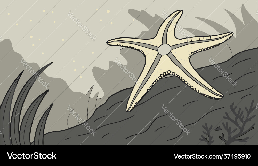 Starfish resting on a path in tranquil sparse vector image