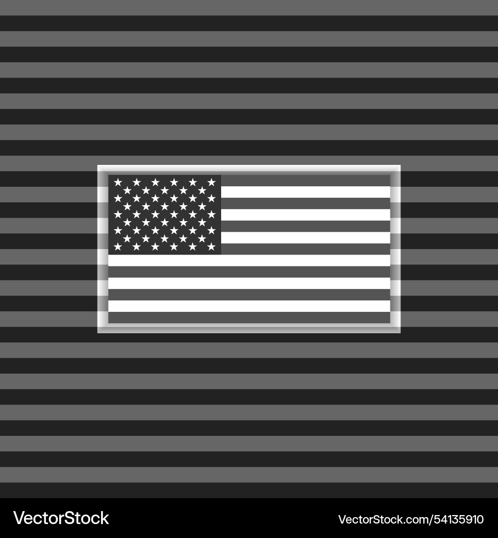 Usa flag with shadow isolated on background Usa flag with shadow isolated on background vector image