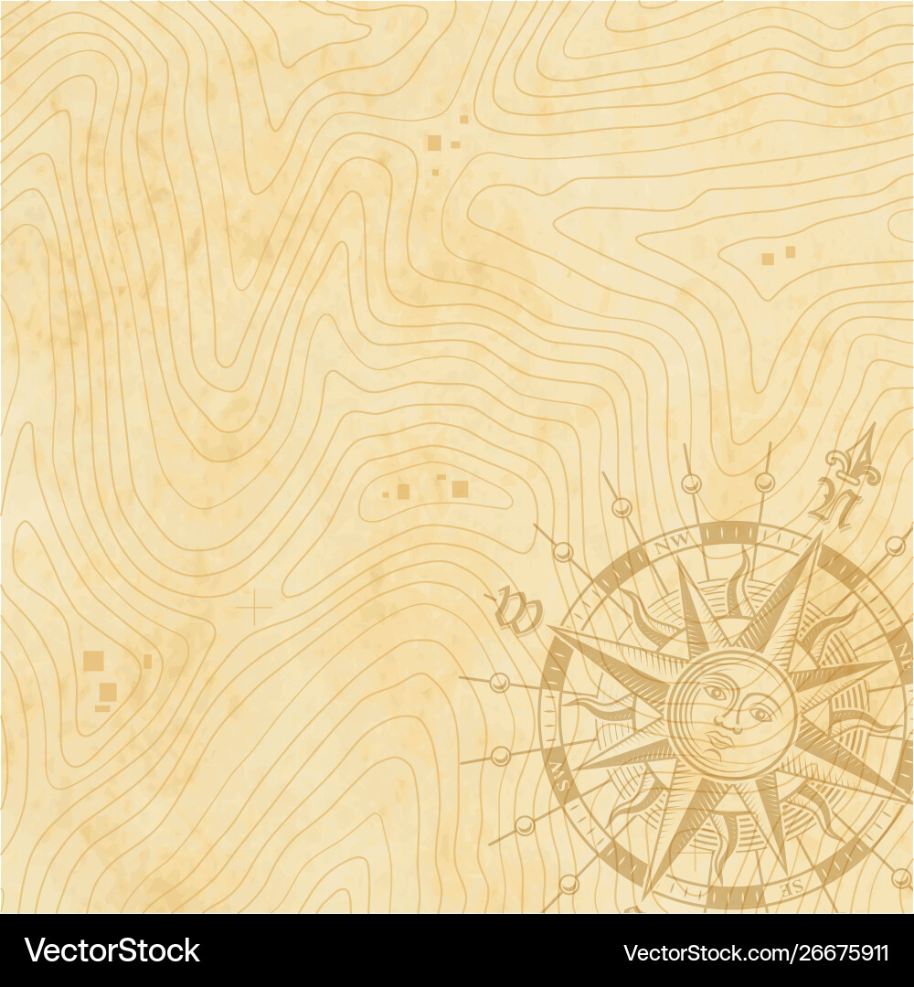 Retro Topography Map Pattern vector image