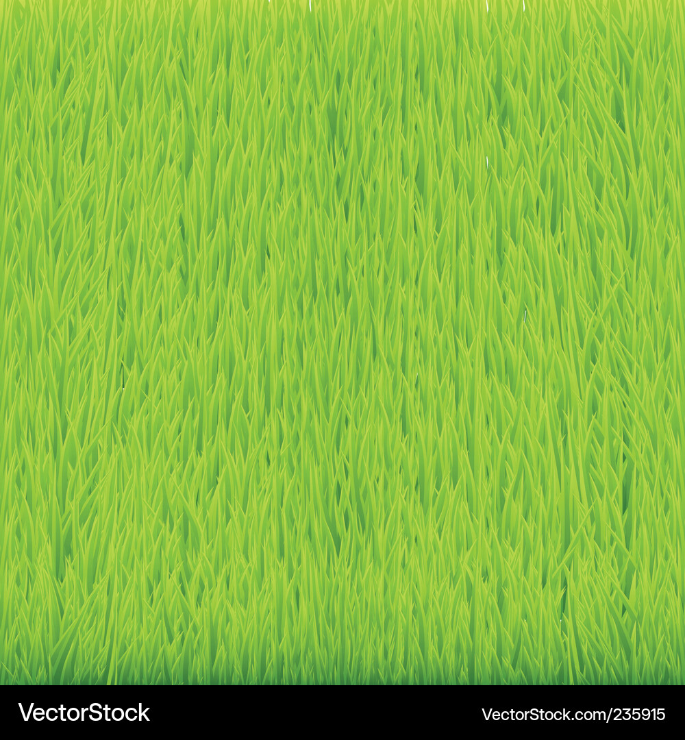 Lush Green Grass Texture Vector Image