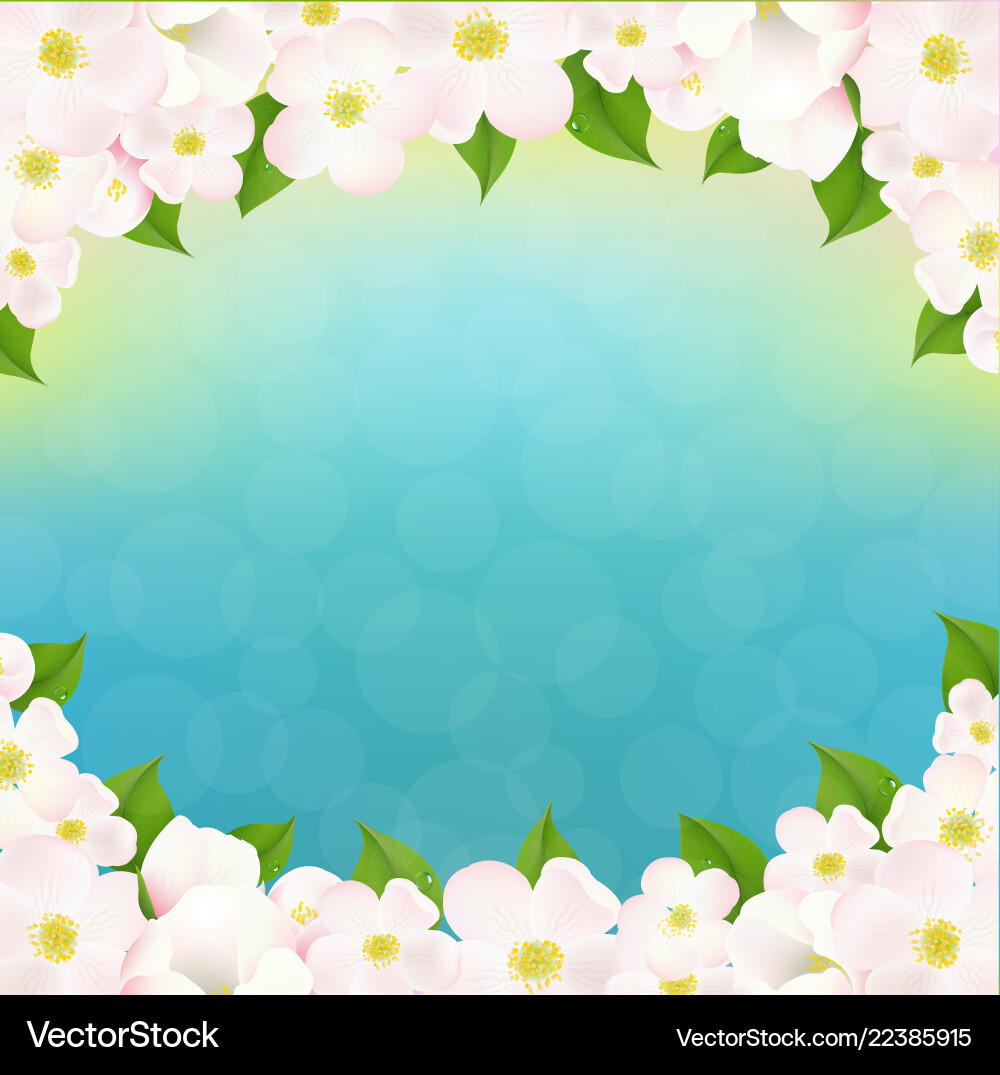 Spring apple tree flowers border Spring apple tree flowers border vector image
