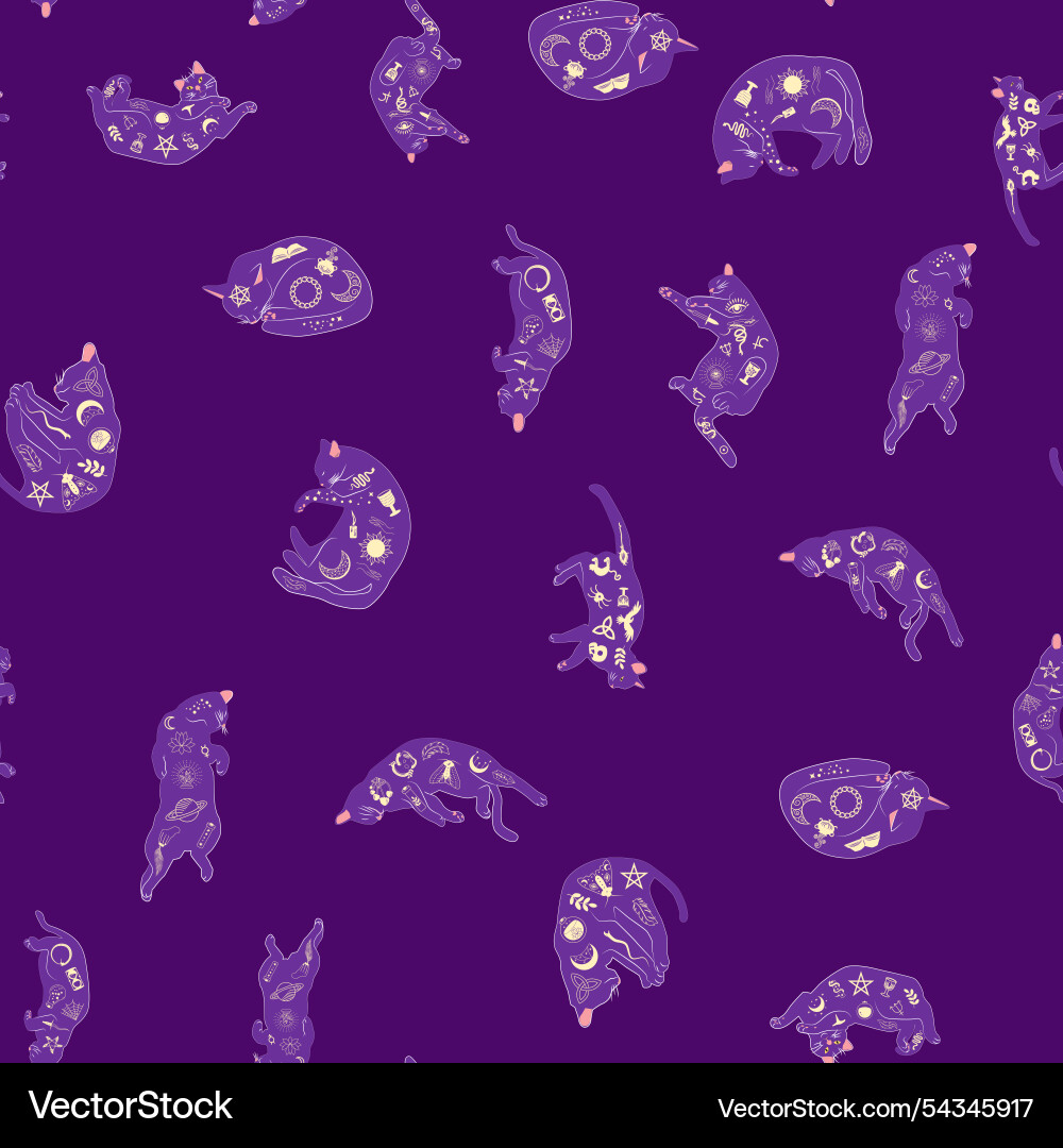 Mystical seamless pattern of cats in boho style Vector Image