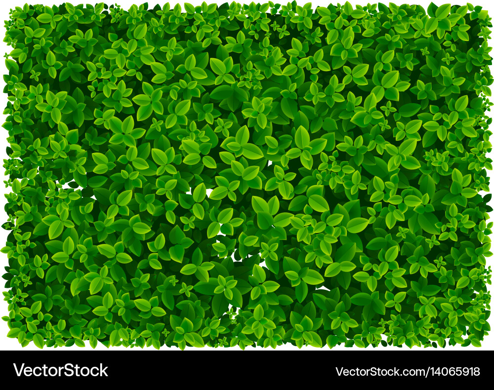 Leaf pattern and wallpaper Royalty Free Vector Image