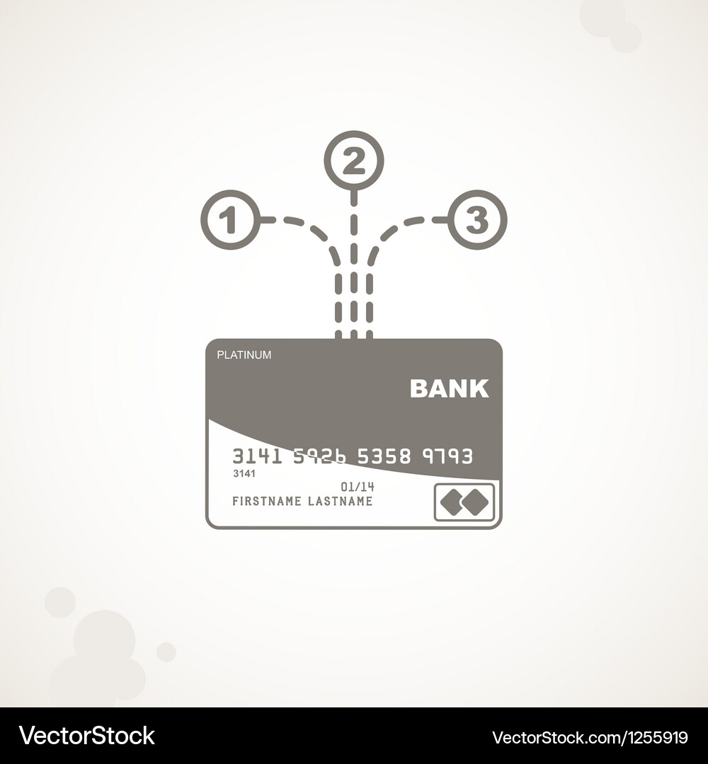 Options for using a credit card Vector Image