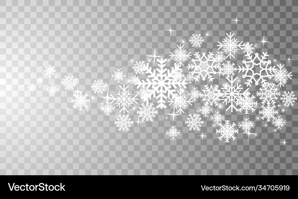 Snowflakes in different shapes and forms vector image