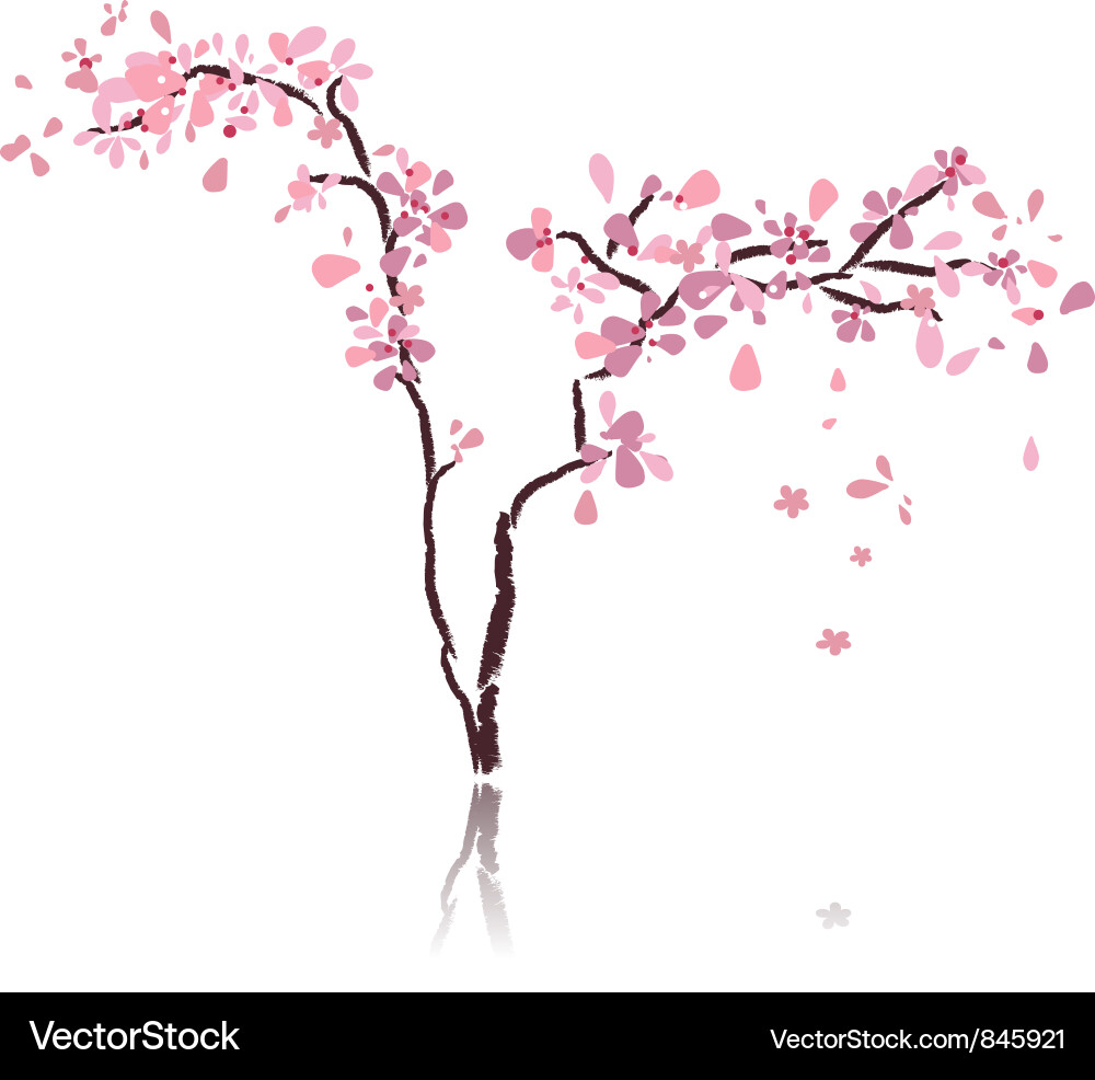 Elegant Cherry Blossom Tree vector image
