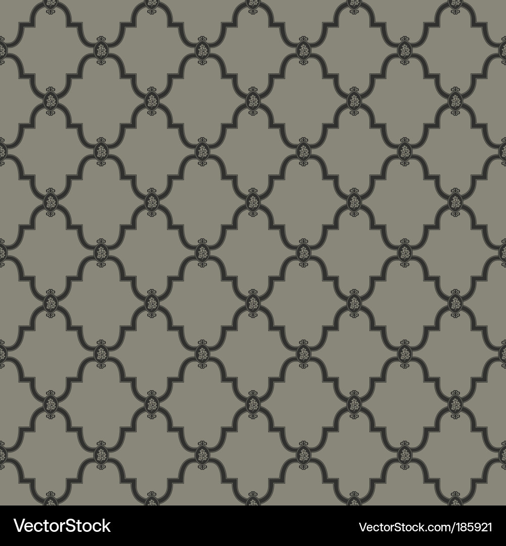 Intricate Border Pattern vector image