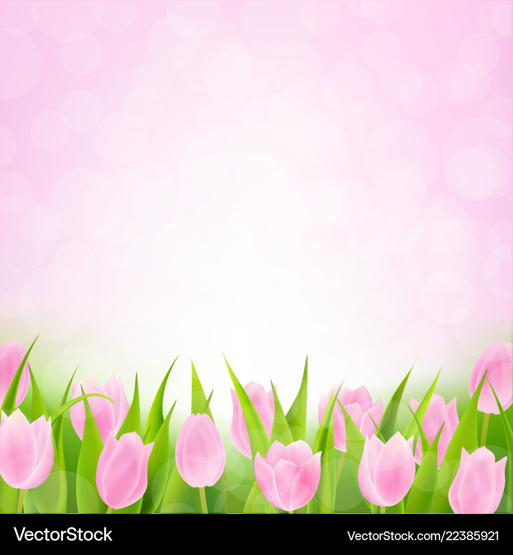 Spring pink tulip Royalty Free Vector Image - VectorStock