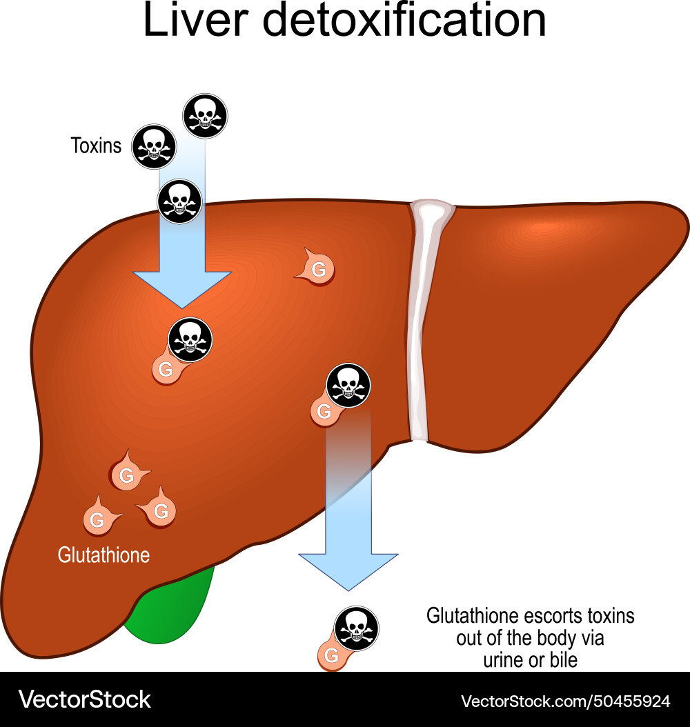 glutathione cirrhosis 9 Health Benefits of Glutathione