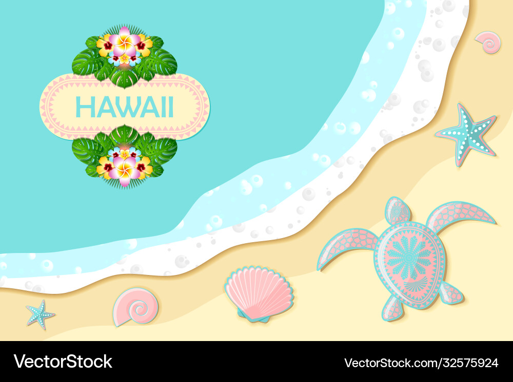 Top view seashore with sea waves turtle shells vector image