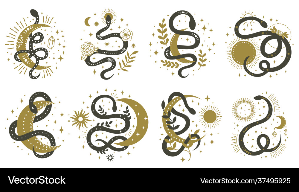 Mystical snakes floral boho and astrology Mystical snakes floral boho and astrology vector image