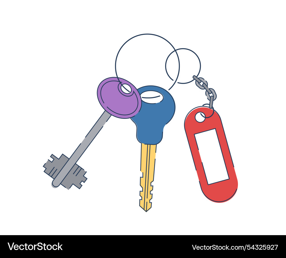 Set of keys keyring with at ring vector image