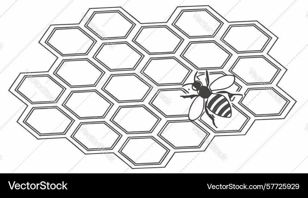 Honeycomb pattern with bee line art icon design vector image