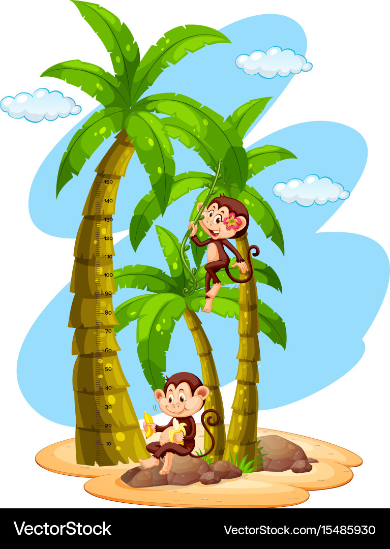 Growth chart ruler with two monkeys on tree Vector Image