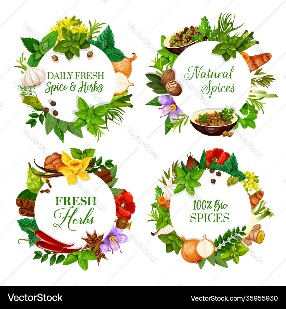Natural spices and kitchen herbs round banners Natural spices and kitchen herbs round banners vector image
