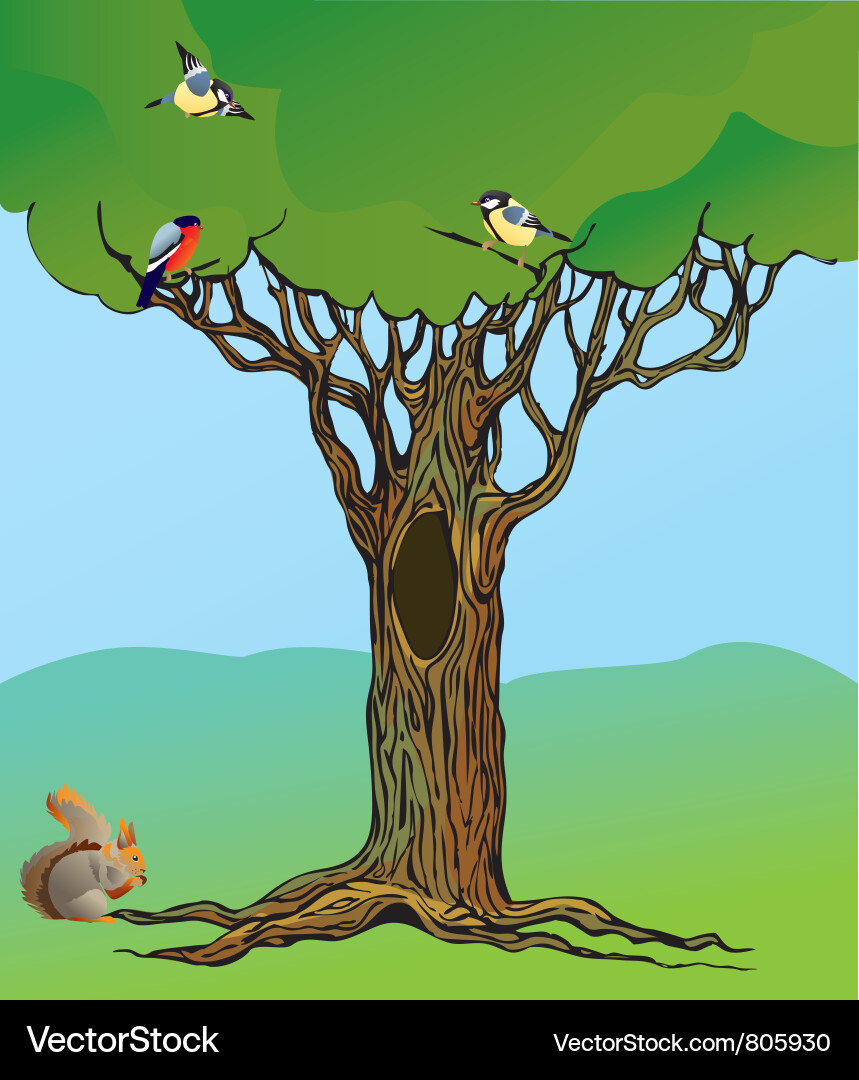 Rooted Oak Tree with Squirrels and Birds Vector Image