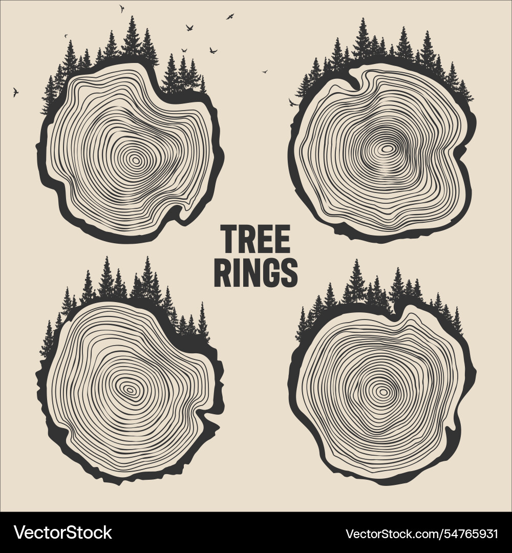 Round tree trunk cuts with trees forest and birds Round tree trunk cuts with trees forest and birds vector image