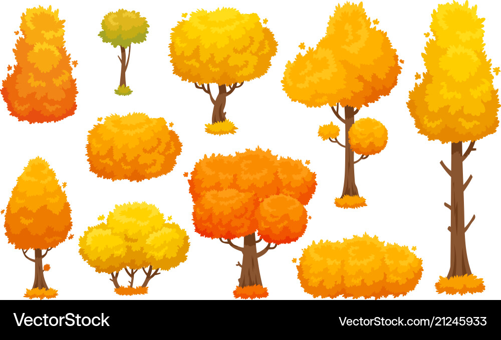 Colorful autumn trees cartoon yellow fall tree Colorful autumn trees cartoon yellow fall tree vector image