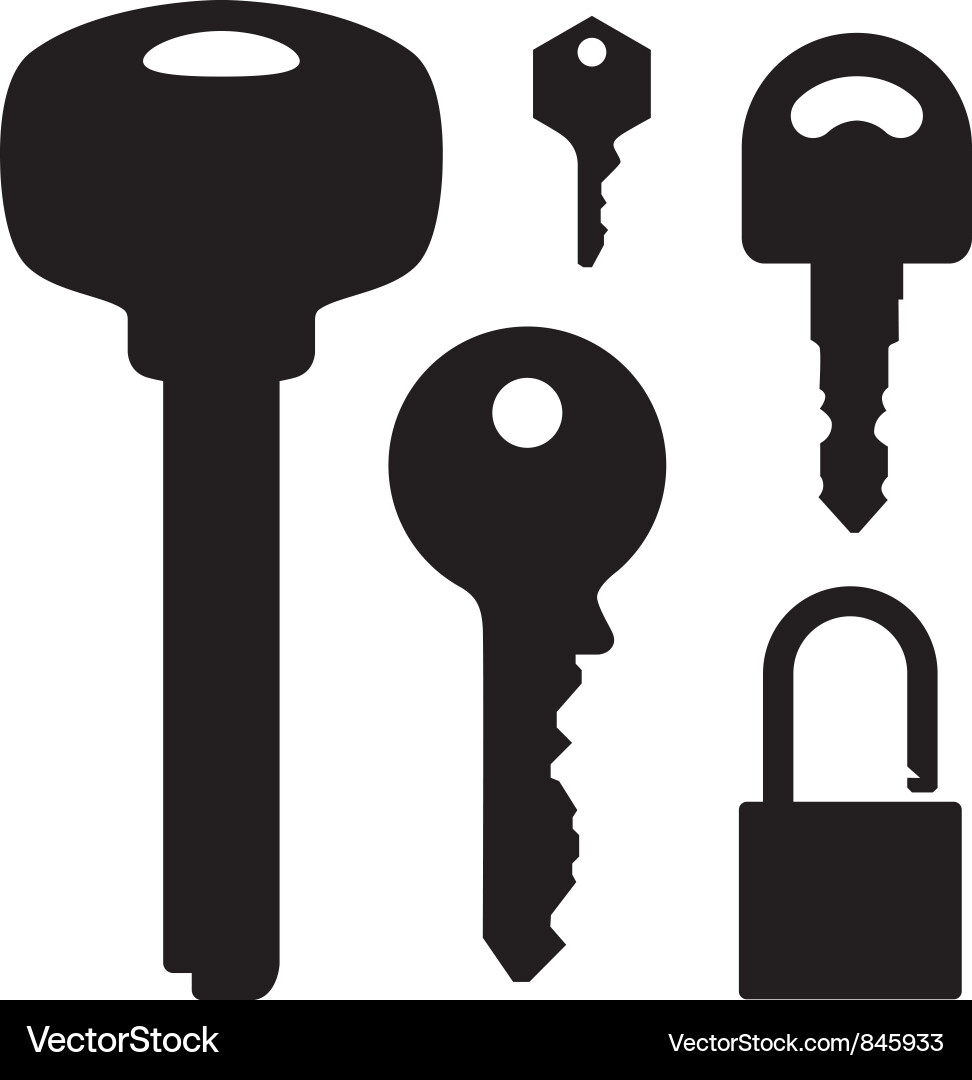 Set of Keys and Locks Vector Image