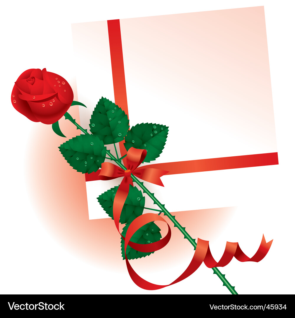 Valentine card with a rose Vector Image