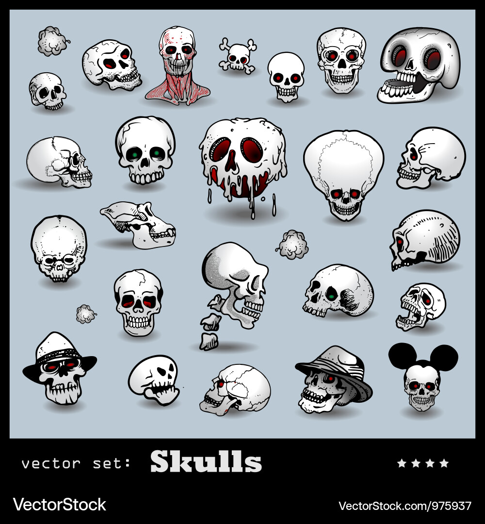 Skull Collection Set Vector Image