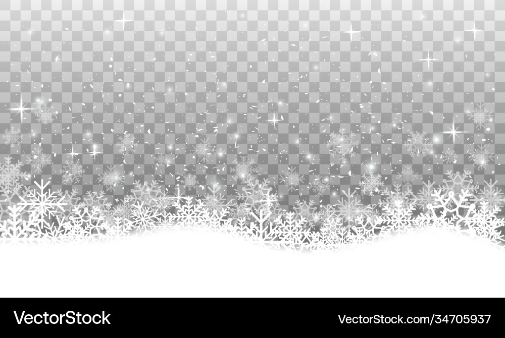 Snowflakes in different shapes and forms vector image