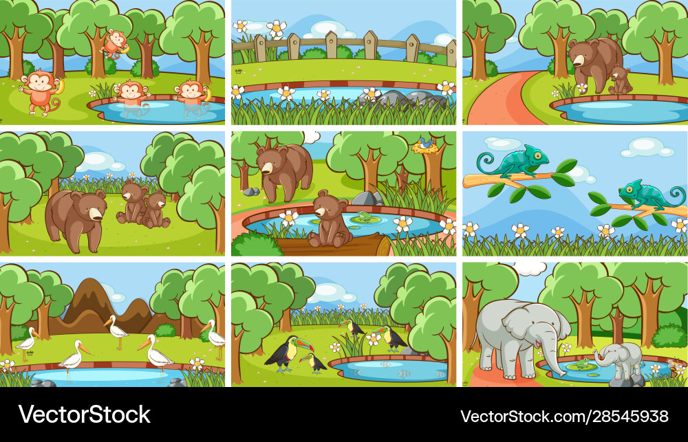 Background scenes animals in wild vector image