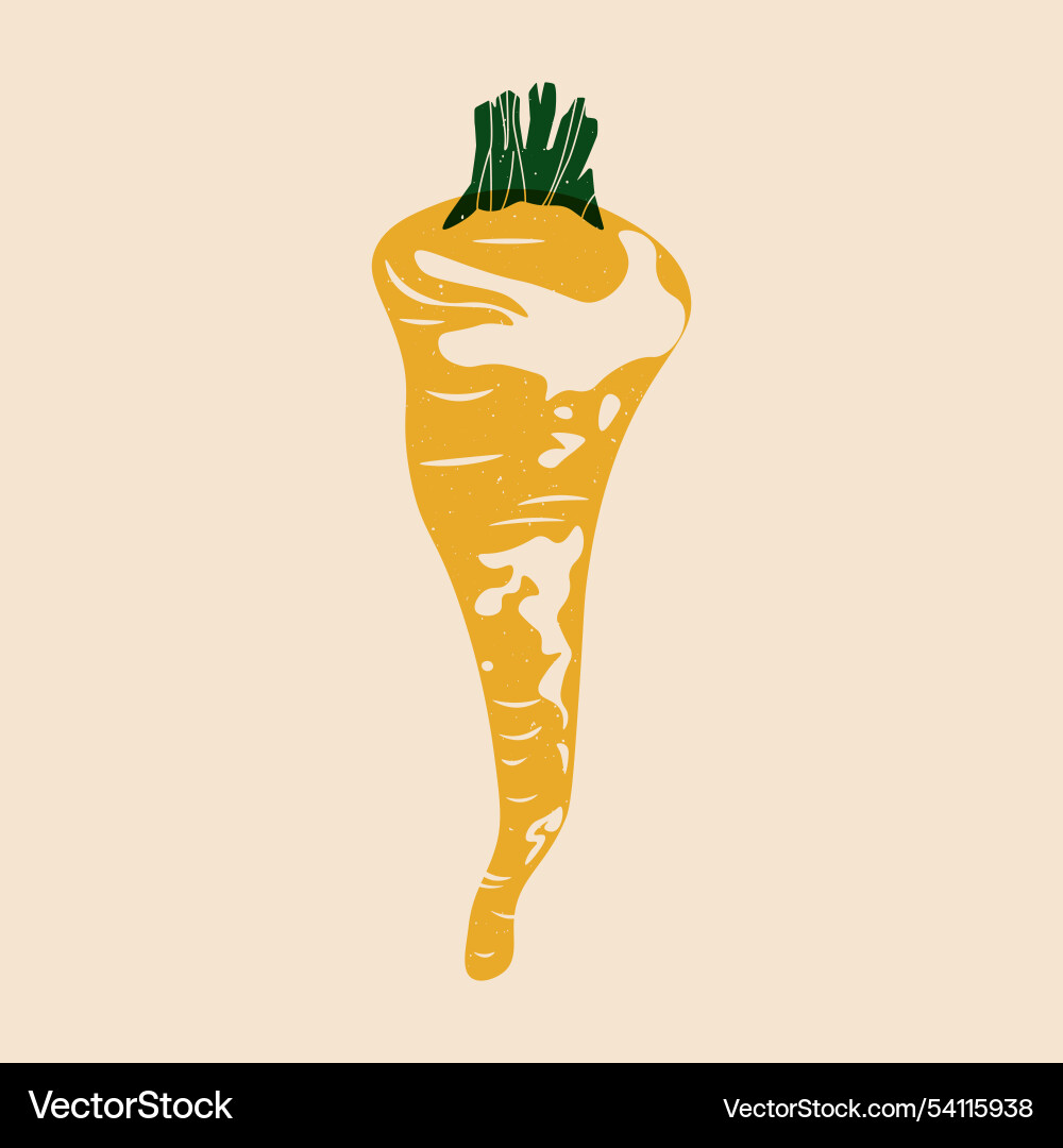 Parsnip cartoon fresh root vegetable risograph Parsnip cartoon fresh root vegetable risograph vector image