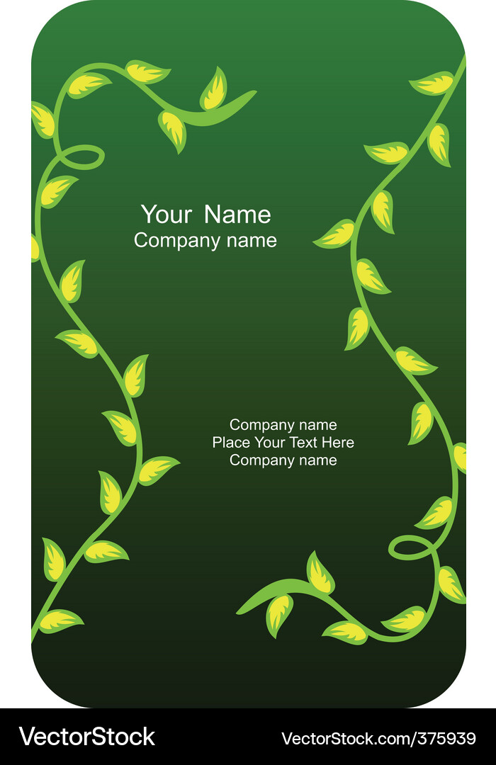 Business card Vector Image