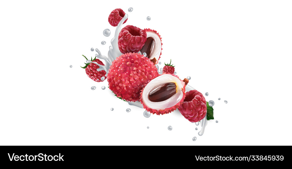 Lychee & Raspberry Splash Vector Image