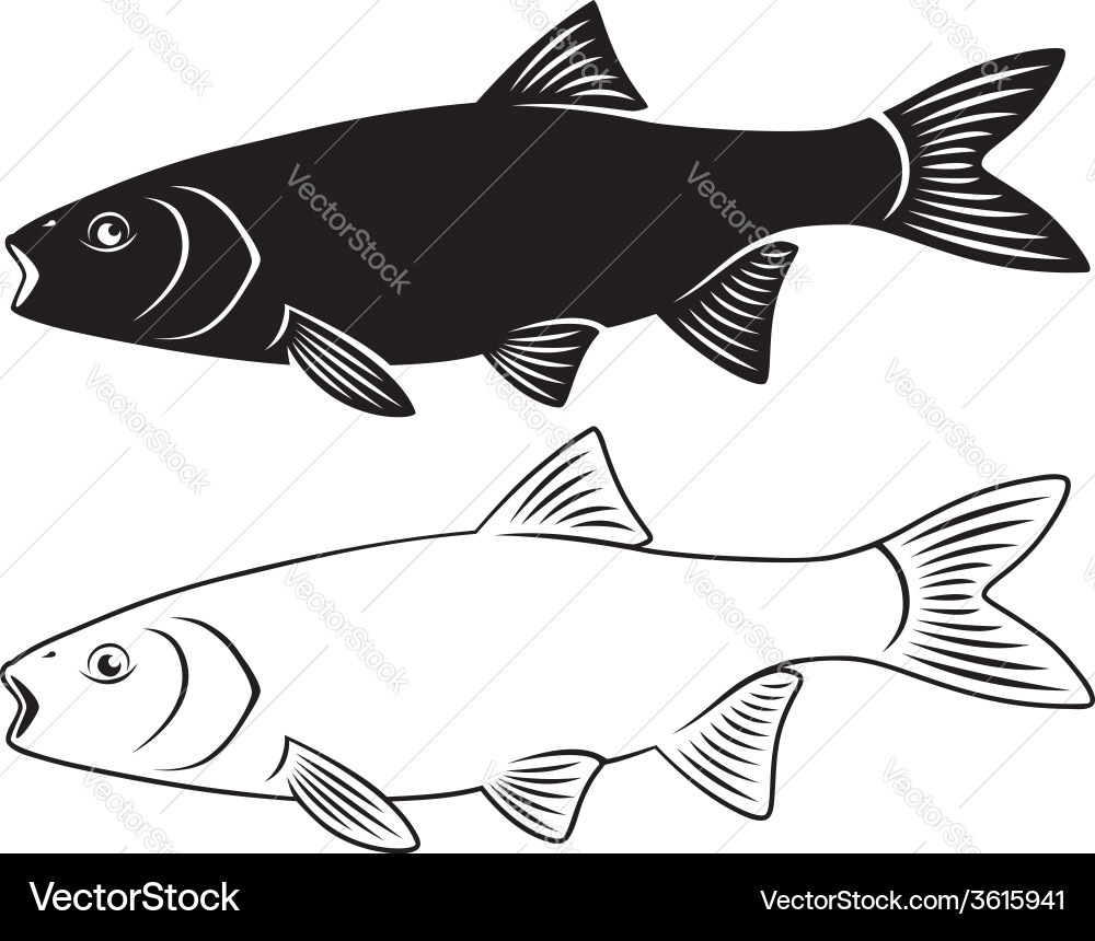 Ide Vector Image