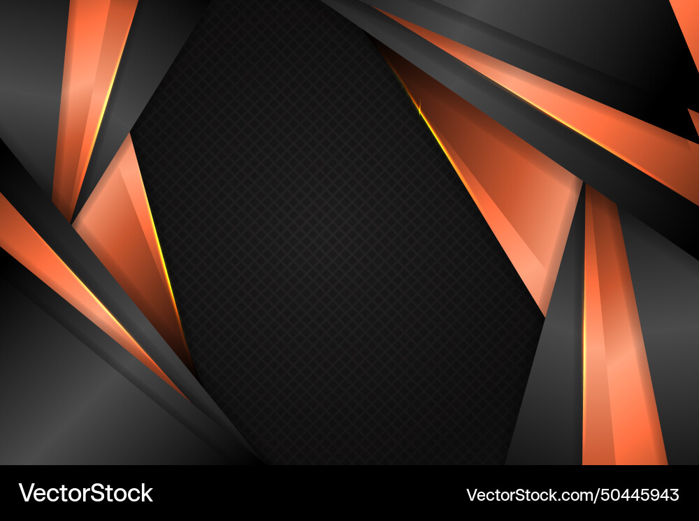 Abstract background triangle shape with black Vector Image