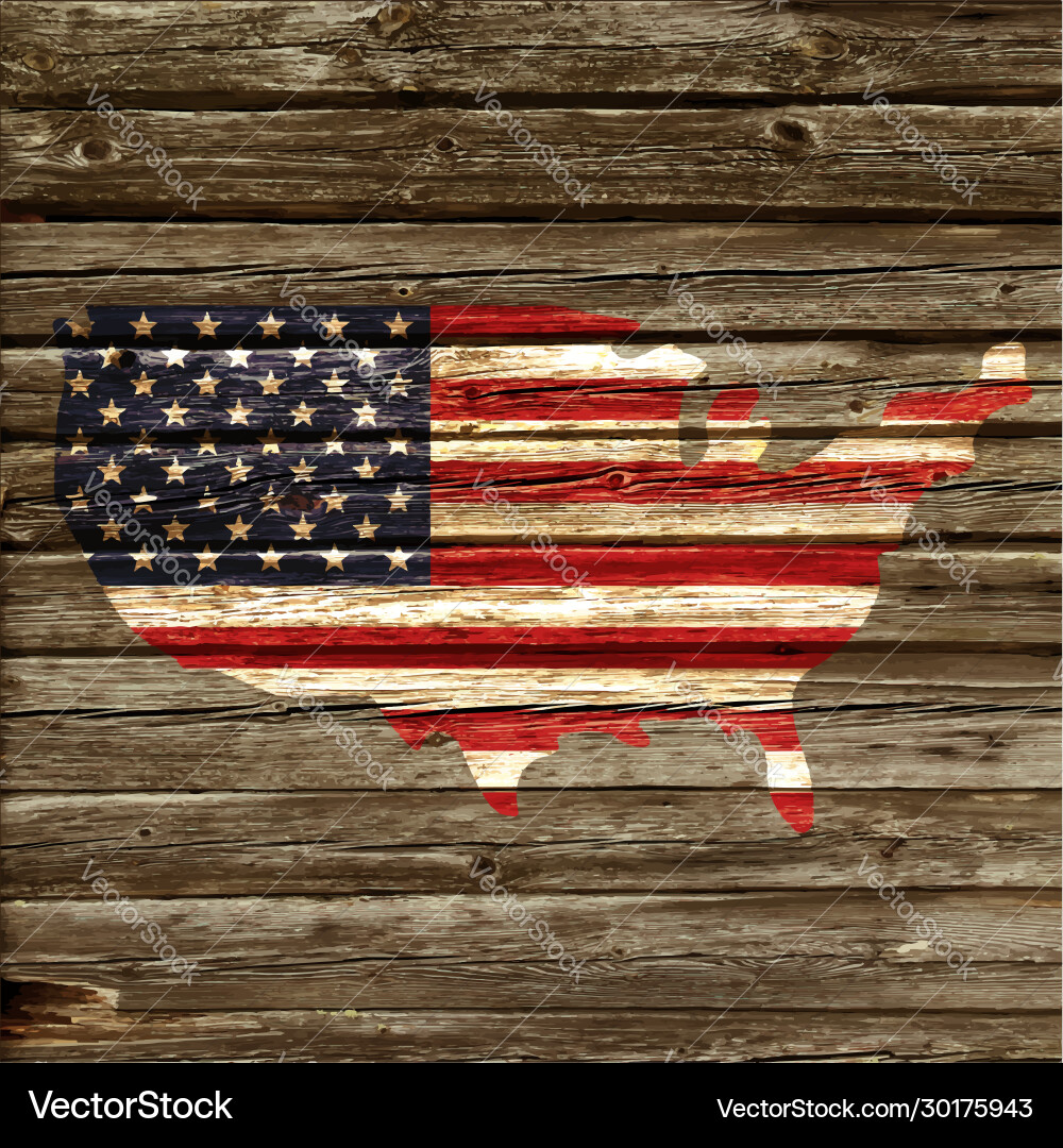 Rustic USA Flag Wall vector image