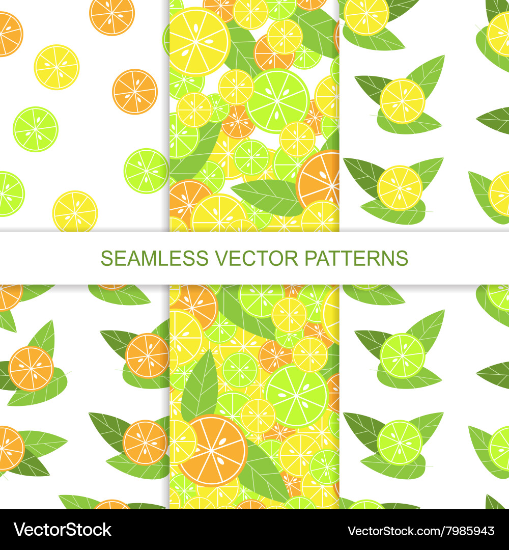 Set of seamless citrus pattern lemon vector image