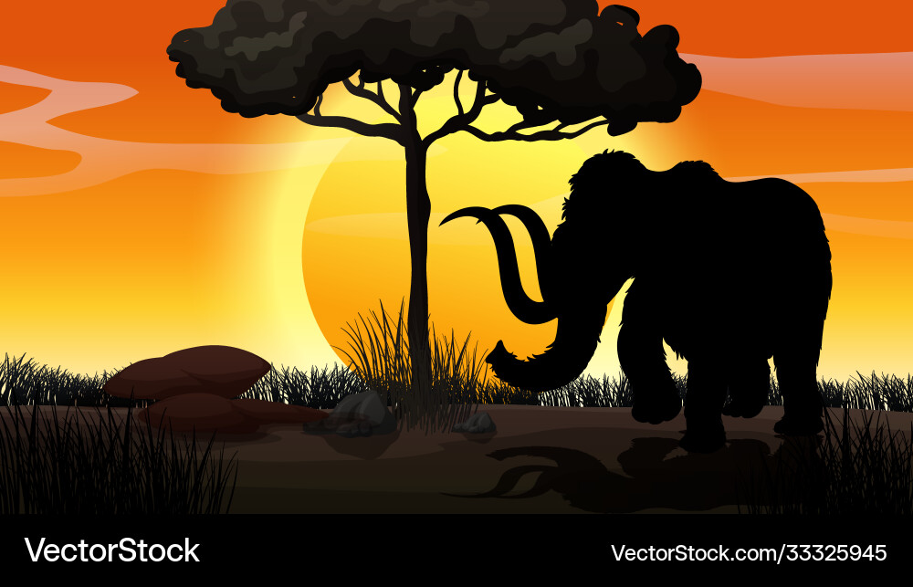 Outdoor nature silhouette sunset scene Outdoor nature silhouette sunset scene vector image