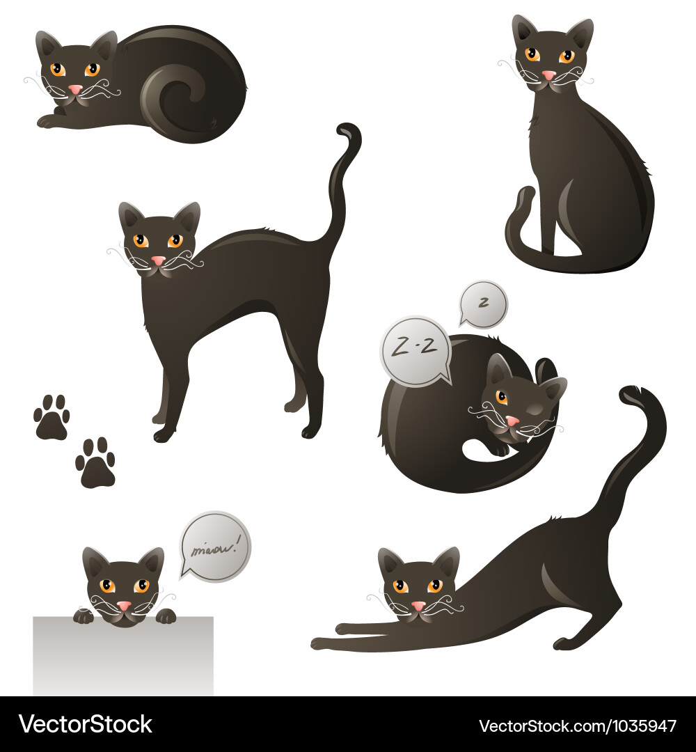 Cats Royalty Free Vector Image - VectorStock