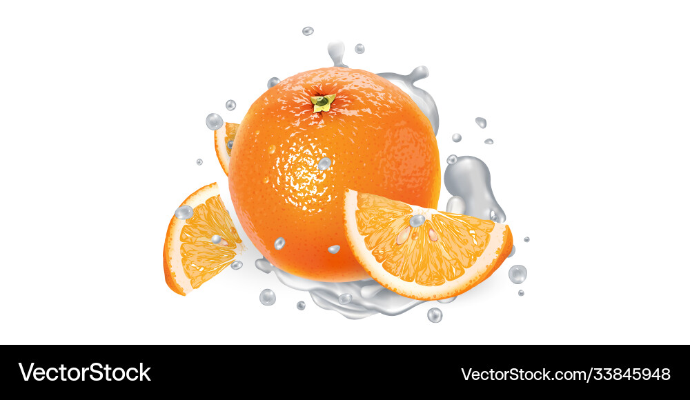 Orange with slices in splashes yogurt vector image