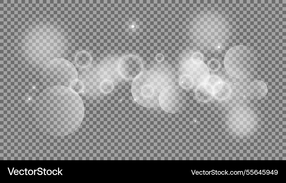 Bokeh circles on transparent background Bokeh circles on transparent background vector image