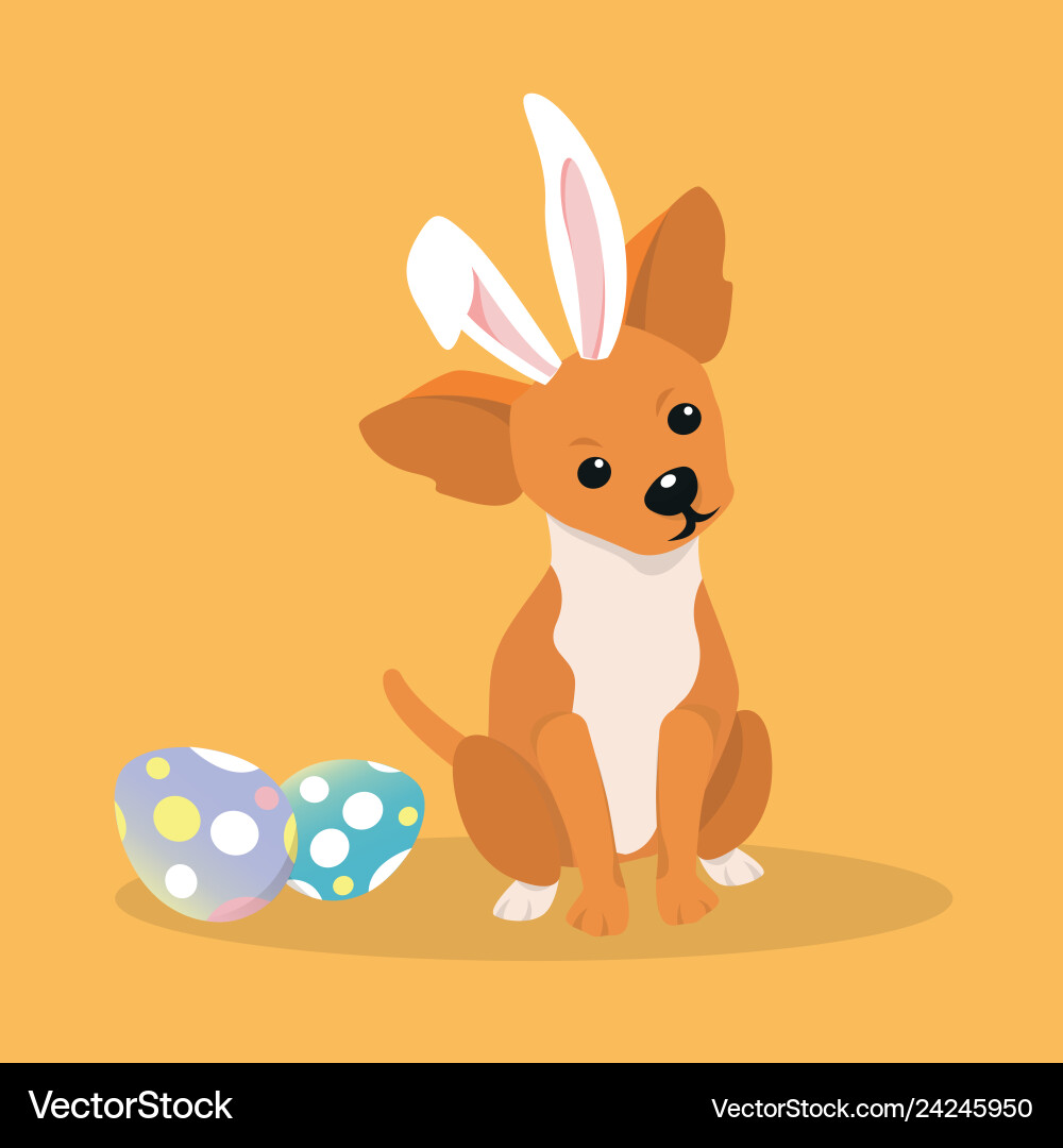 Dog as easter hare with eggs vector image