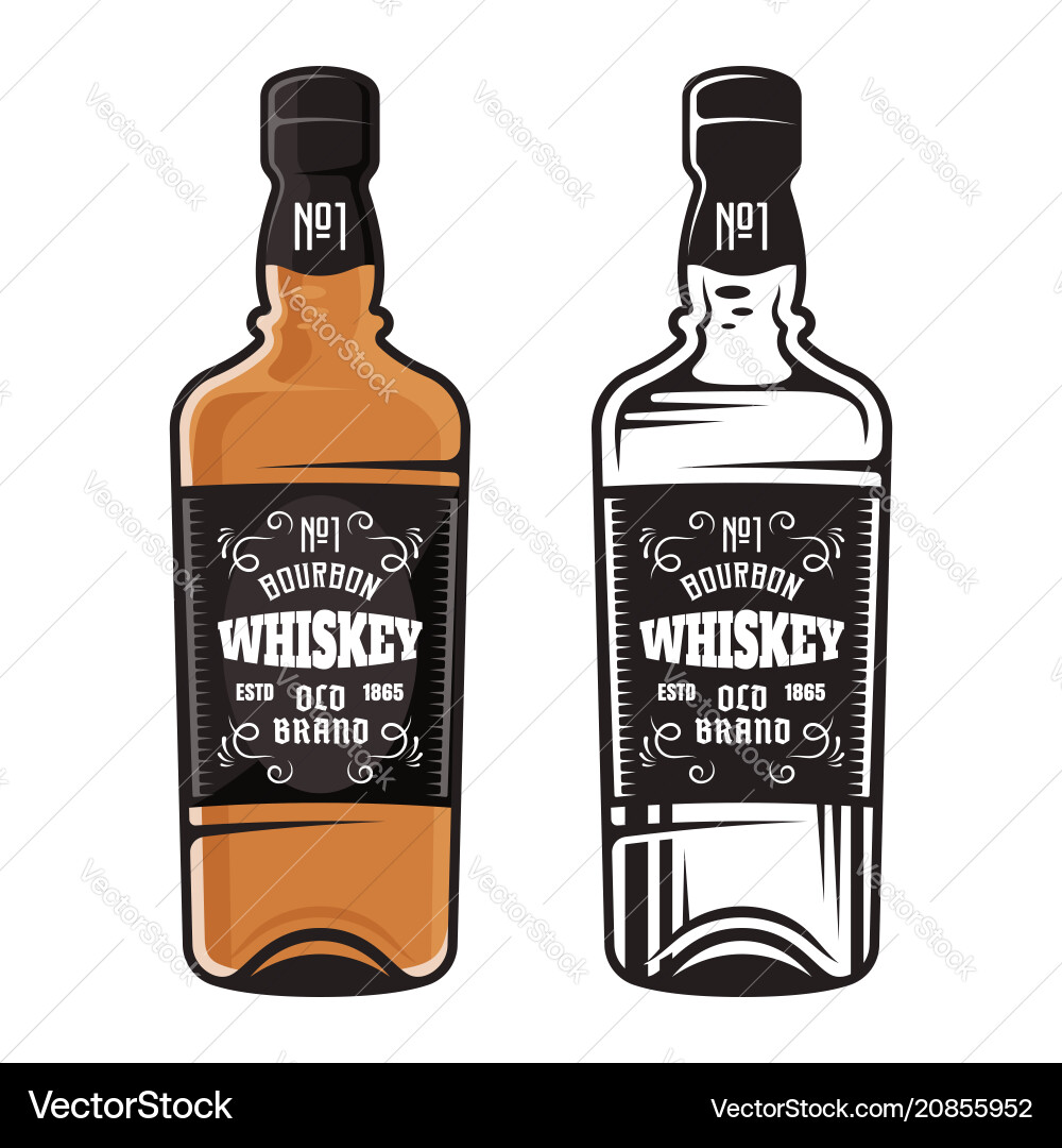 Bottle of whiskey two styles vector image