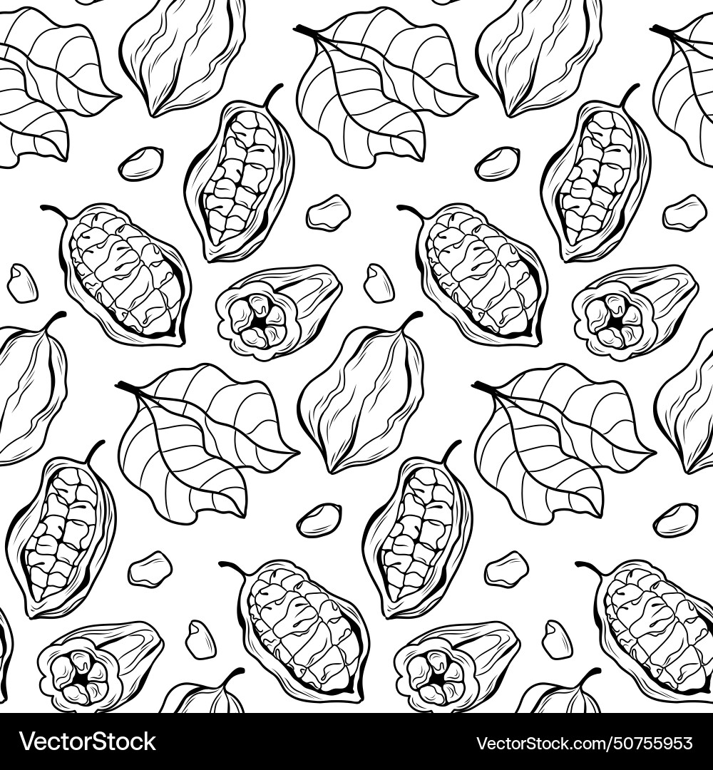 Black and white cocoa outline pattern with beans Black and white cocoa outline pattern with beans vector image