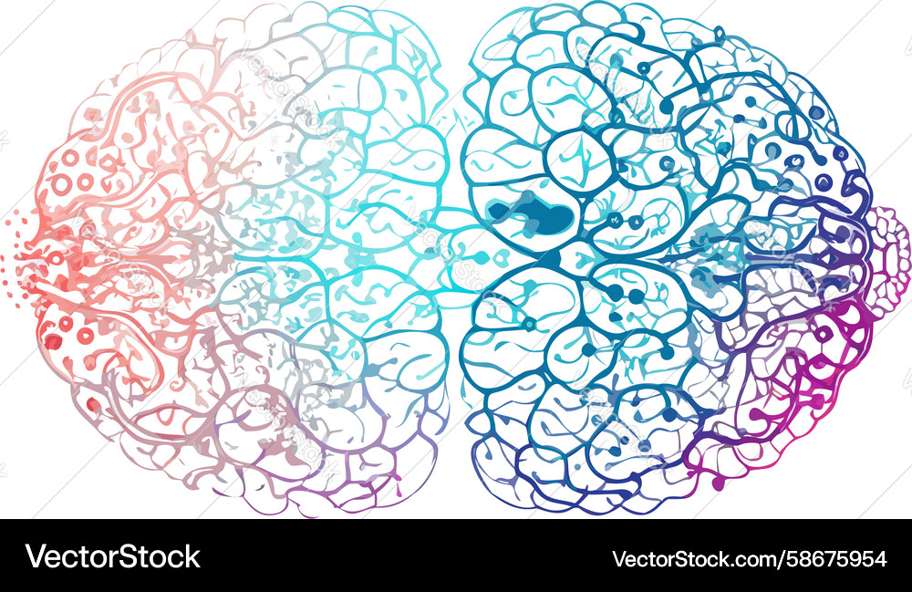 Abstract colorful connected brain neural network Vector Image