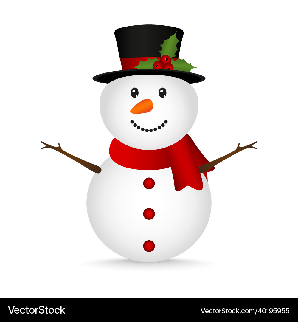 Christmas snowman on a white background Christmas snowman on a white background vector image