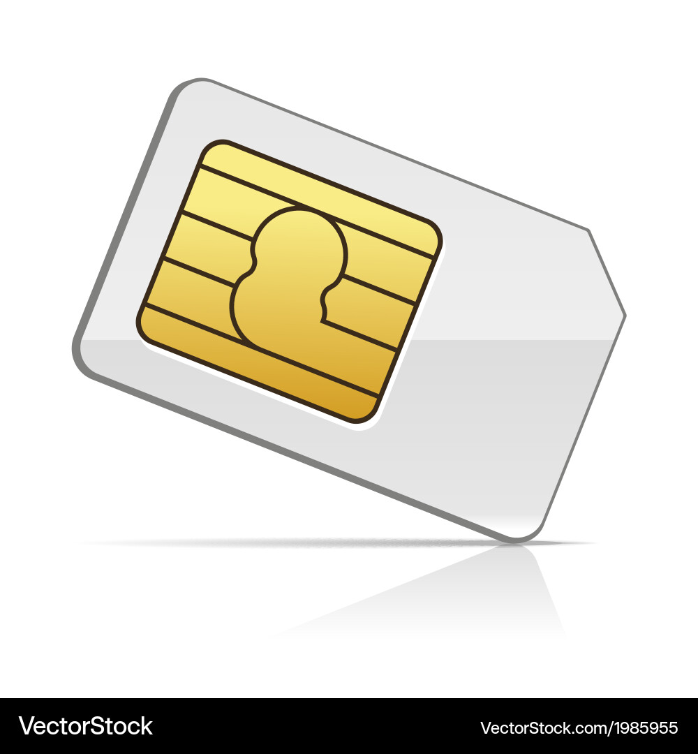 Sim card on white background Royalty Free Vector Image