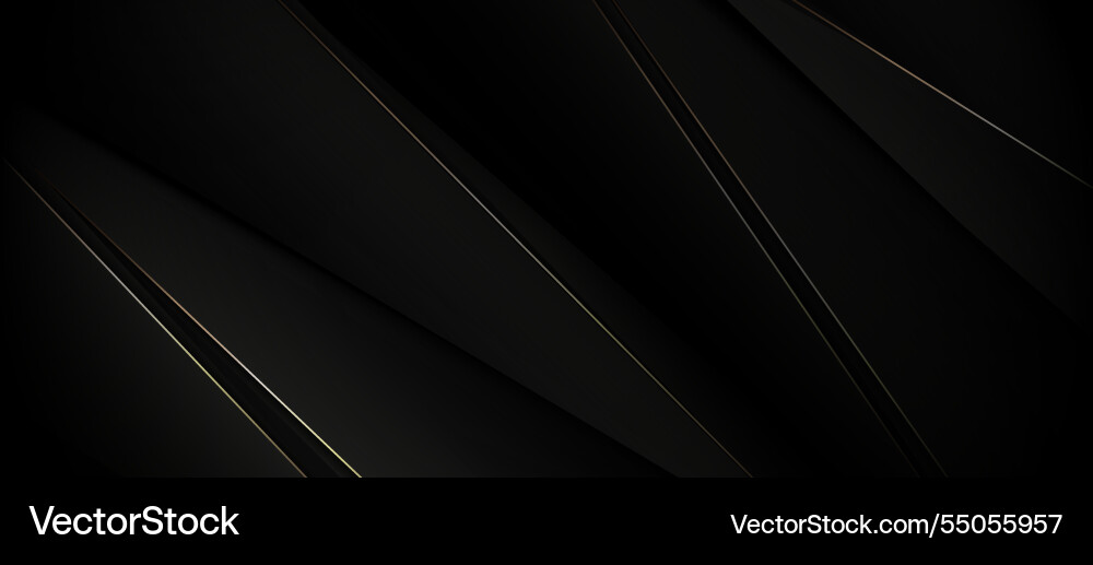 Elegant black abstract background with subtle Elegant black abstract background with subtle vector image