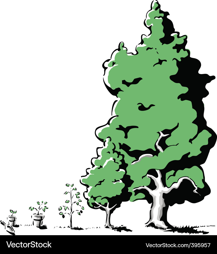 Treegrowth Vector Image