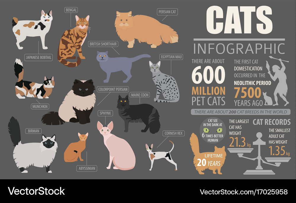 What are All the Cat Breeds: Ultimate Guide to Feline Varieties