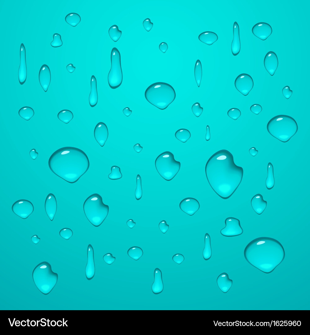 Different water drop with shadow and reflection Vector Image