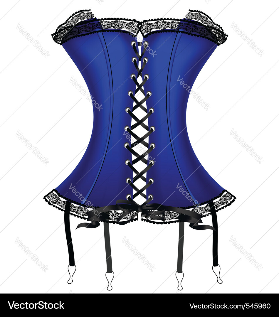 Elegant Blue Corset Vector Image