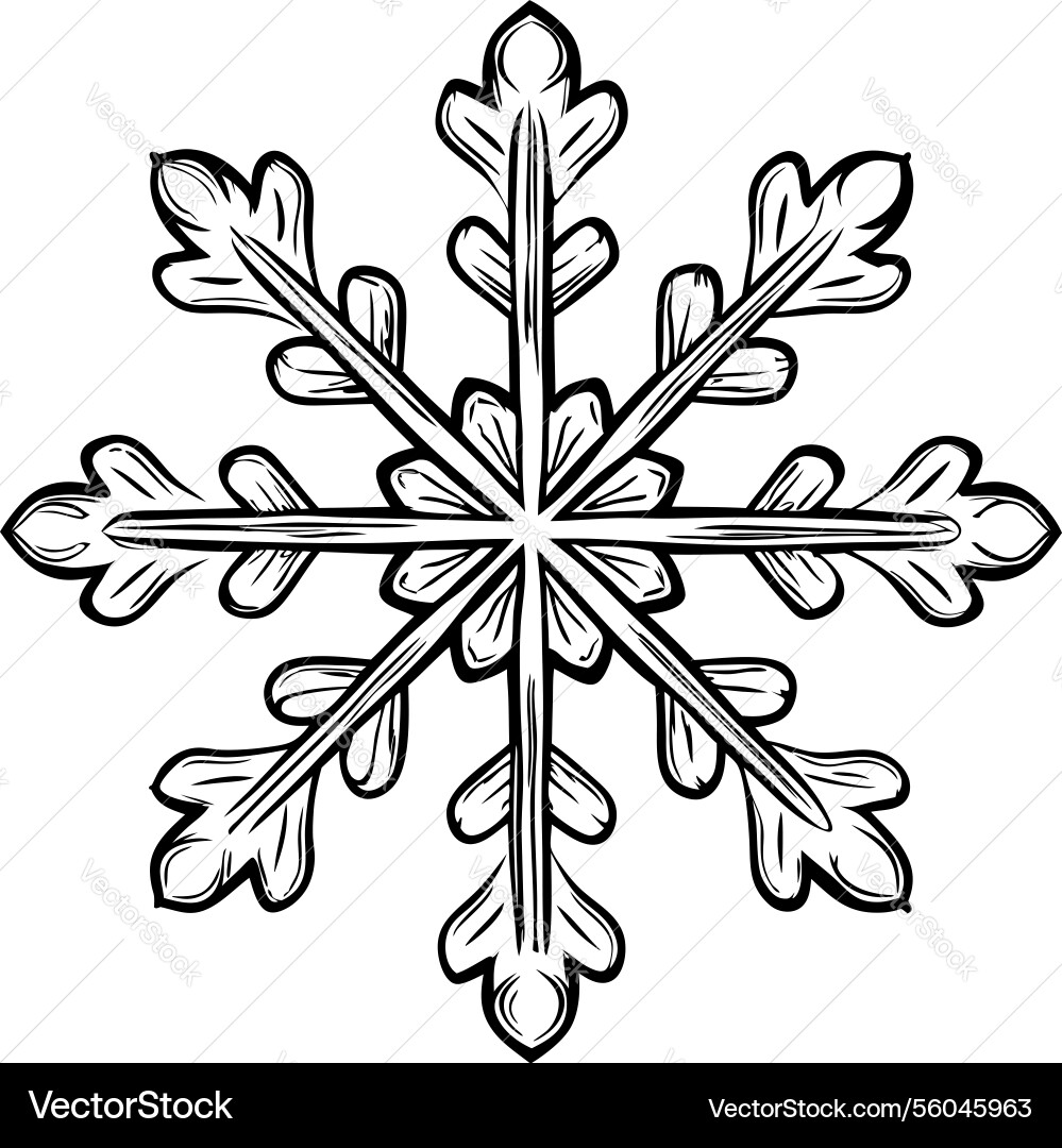Intricate snowflake design geometric pattern Vector Image